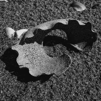  Danse du sable 