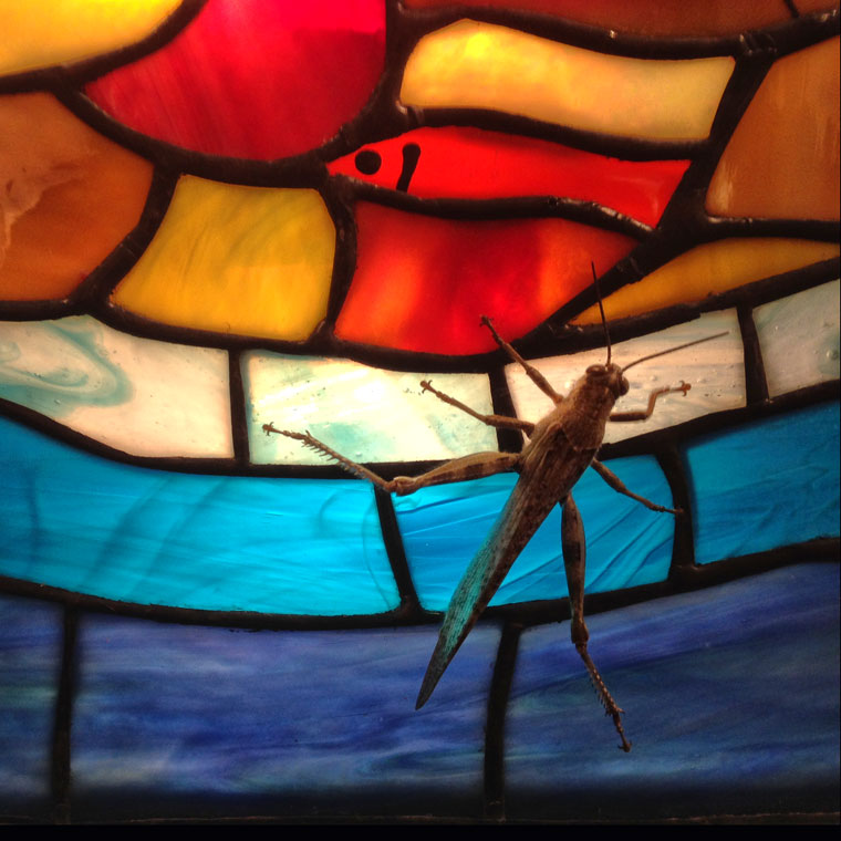  Visiteur sur vitrail de Dany Ely 