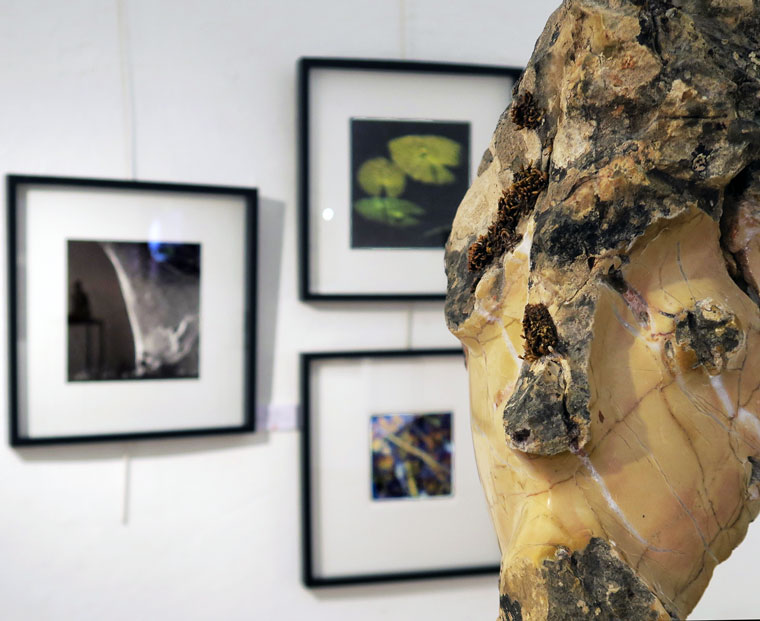  Tête d'Olivier Bataille 