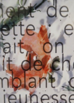  la soupe de mots 