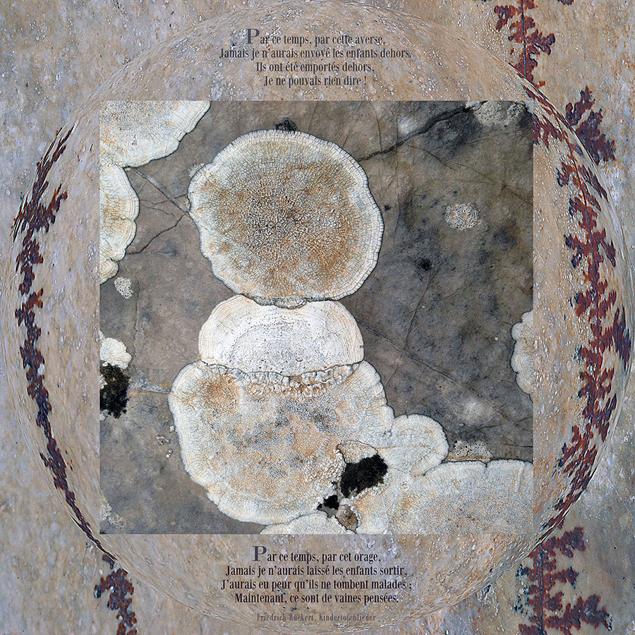  Kindertotenlieder, Le chant des enfants morts 