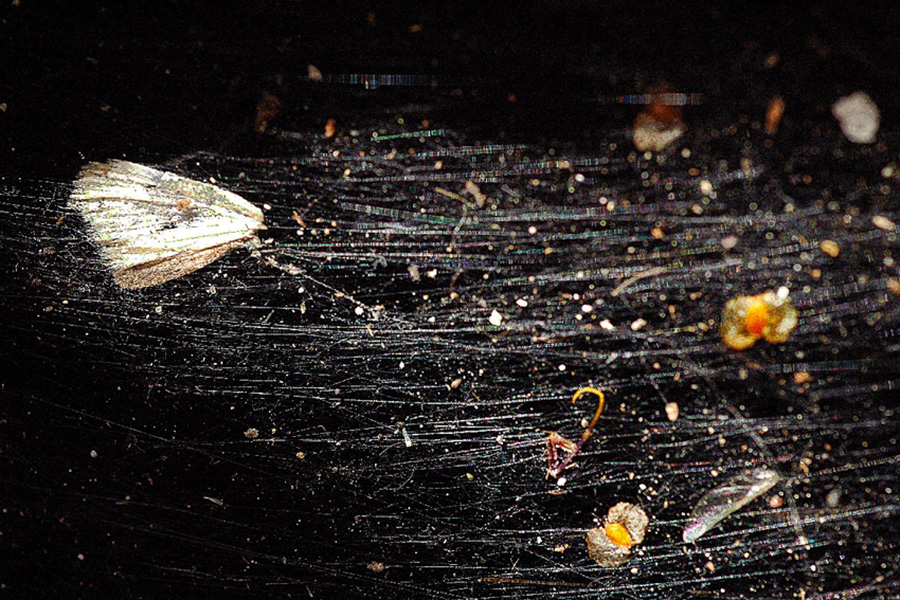  Toutes les lignes sont occupées 