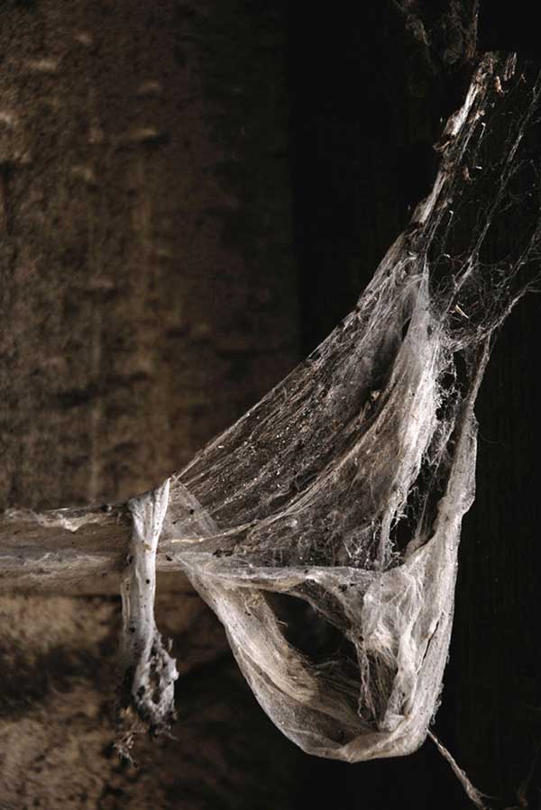  Nos vieilles culottes 