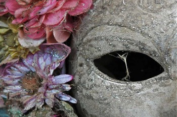  Maschera 