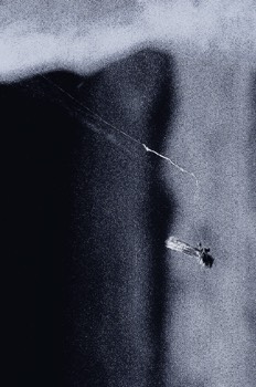  Saut à l'élastique 