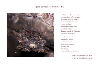 Pour quoi faire 