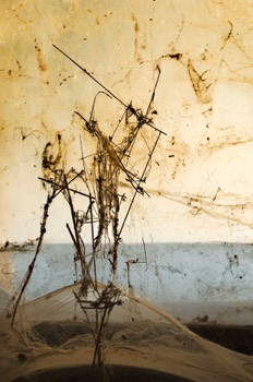  Echassiers à la Klee 