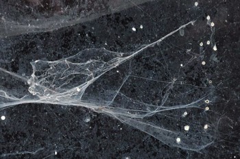  Nébuleuse 