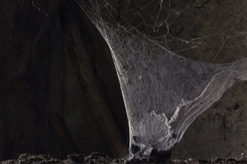  Triangle 