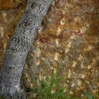  Arbre et marbre 